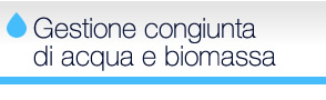 Gestione congiunta di acqua e biomassa